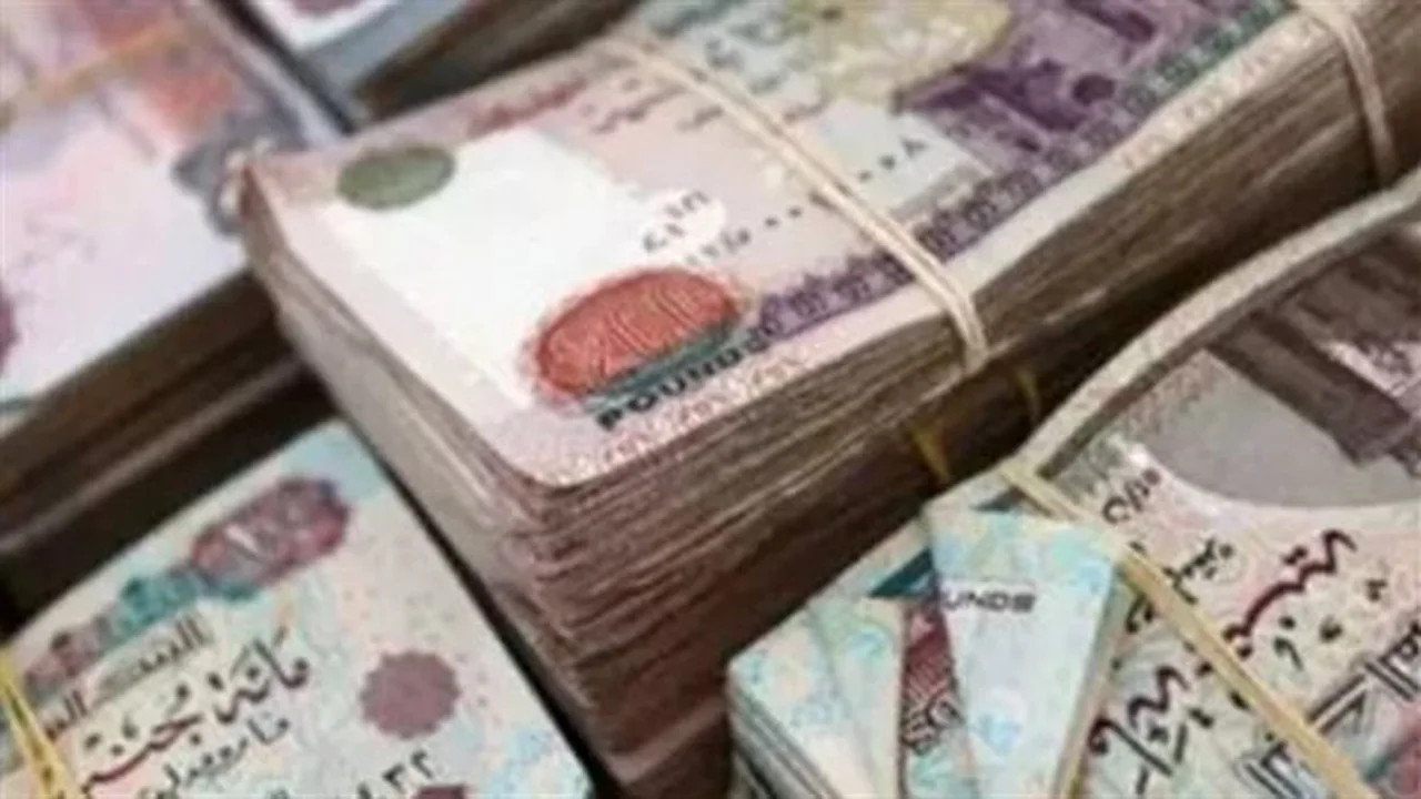 موعد صرف معاشات شهر أبريل 2026 وآلية الاستعلام الإلكتروني المتاحة لأصحاب المعاشات